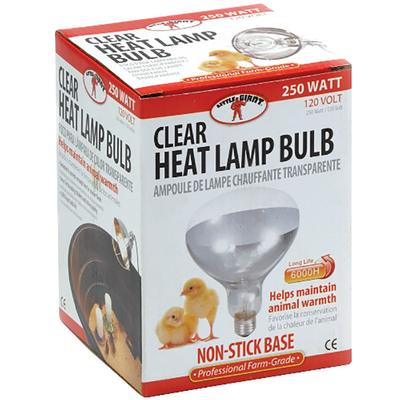 Clear Heat Lamp Bulb