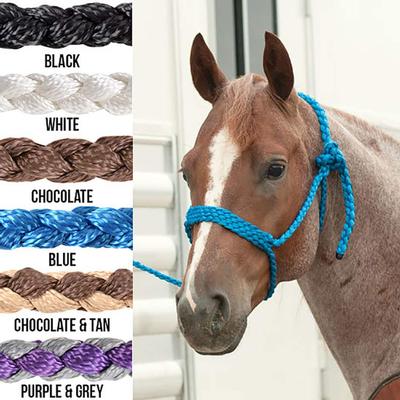 Details about   Nylon Cowboy Rope Halter Horse Tack Equine in Purple Black with Lead PB117 