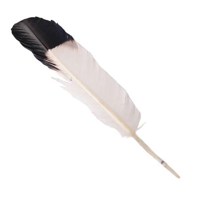 Austin Accent's Imitation Eagle Hatband Feather