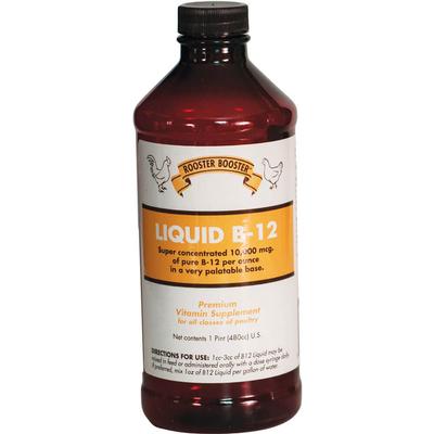 Rooster Booster Liquid B-12 